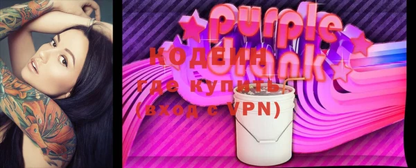 шишки Белокуриха